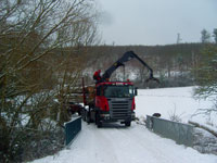 Holztransport 1