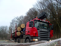 Holztransport 4